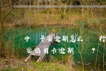 中國平安逾期怎么辦銀行卡，如何處理中國平安信用卡逾期？銀行卡會被凍結嗎？